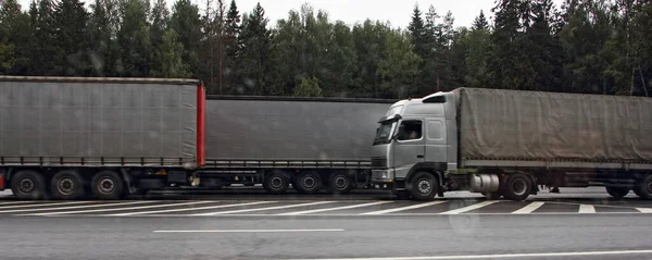 Heavy gray awning semi trucks traffic jam on suburban highway asphalt road, long vehicles wide side view on green pine trees background at summer day