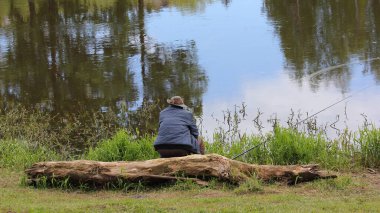 Two bird Asses with tails of a pair of waterfowl wild ducks close up looking for food under the water