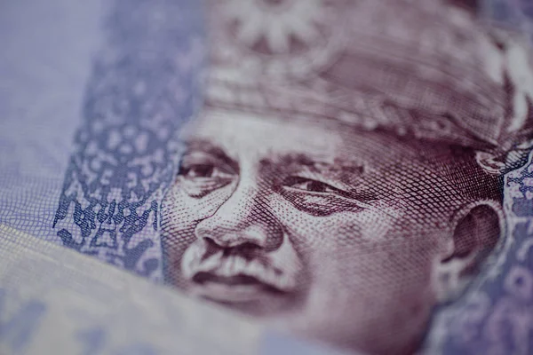 Malezya ringgit banknotlarının Malezya para birimi. Yüzlerce ringgit banknotundan oluşan kağıt para. Mali konsept.