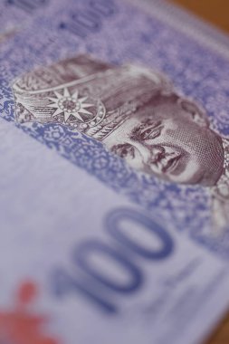 Malezya ringgit banknotlarının Malezya para birimi. Yüzlerce ringgit notunun kâğıt parası etreme yakın çekim için. Mali konsept.