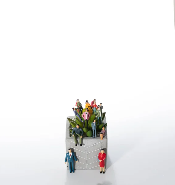 Миниатюрные Люди Люди Одном Месте Растение Белым Фоном — стоковое фото