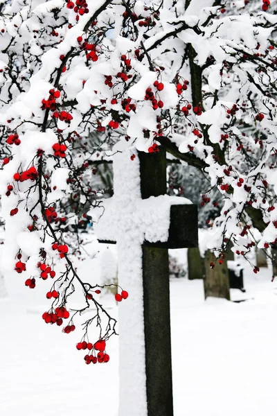 雪覆われたクロス — ストック写真