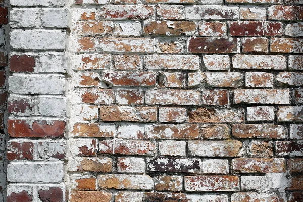 Vieux Grand Fond Mur Brique Rouge Affligé Peinture Blanche — Photo