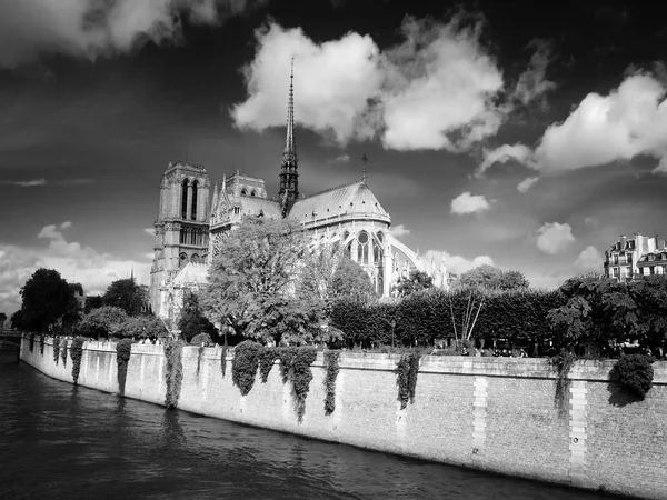 人気の観光スポットであるセーヌ川の市内中心部 フランス 2011 ノートルダム大聖堂 — ストック写真