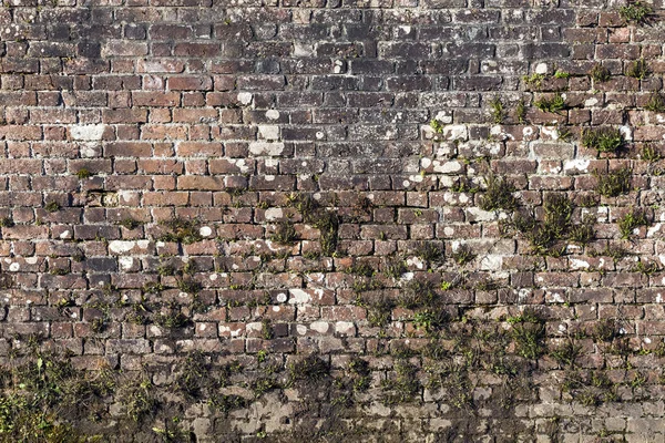 Vieux Grand Fond Mur Brique Rouge Tourmenté — Photo
