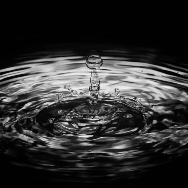 水ドロップ リップル スプラッシュ液滴モノクロ白黒のイメージ — ストック写真