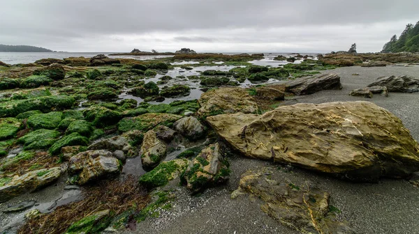 Marée Basse Dans Une Baie Parc National Pacific Rim Île — Photo