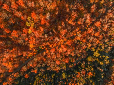 Sonbahar akçaağaçlarıyla New Hampshire 'daki White Mountain, hava fotoğrafçılığı.