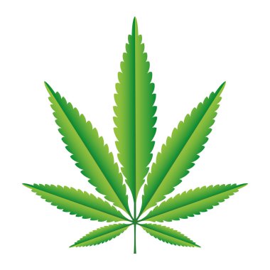 Yeşil kenevir yaprağı vektör çizimi