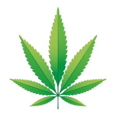 Yeşil kenevir yaprağı vektör çizimi