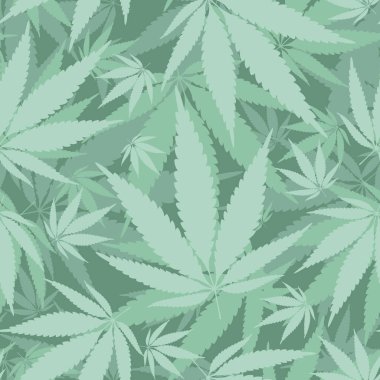 Kenevir pürüzsüz iz bırakır