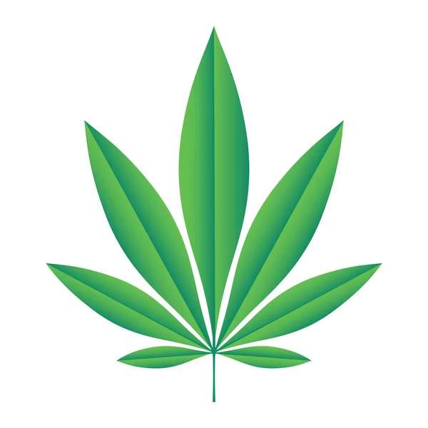 緑の麻の葉ベクトル図 — ストックベクタ