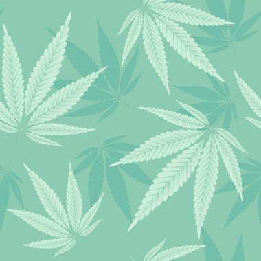 Kenevir pürüzsüz iz bırakır