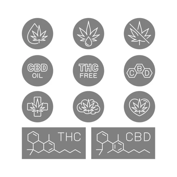 Vorteile Von Cbd Medizinische Anwendungen Von Cbd — Stockvektor