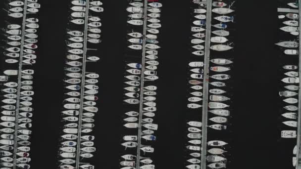 Boats and tourist ships many yachts in french docks — Stock Video