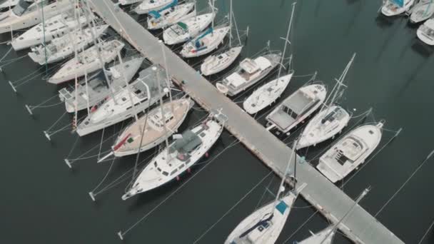 Barche e navi turistiche molti yacht in banchine francesi — Video Stock