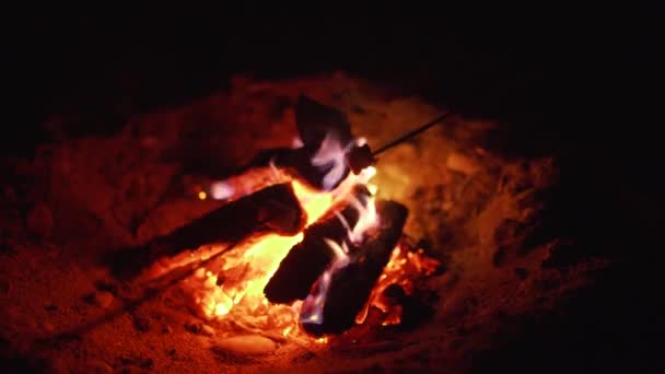 Roosteren marshmallows over vreugdevuur op het strand — Stockvideo