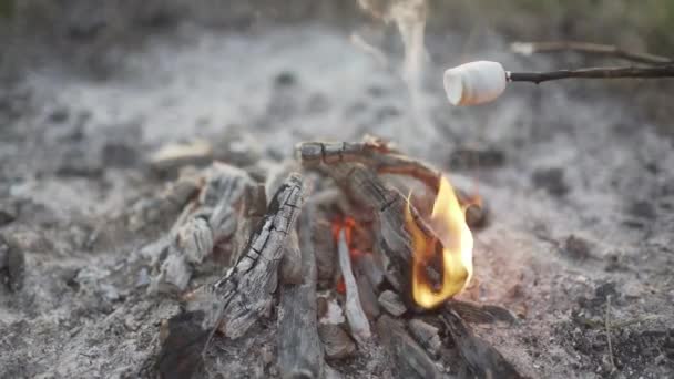 Assar marshmallows sobre fogueira na praia ao pôr-do-sol — Vídeo de Stock
