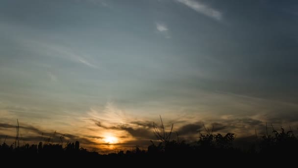 Zeitraffer von 4k, der einen wunderschönen orangen Sonnenaufgang über dem Feld zeigt — Stockvideo