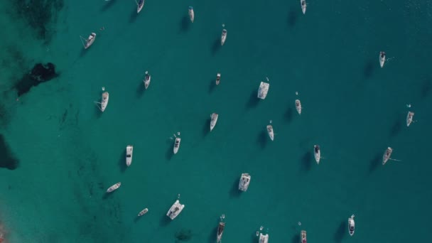 Luftaufnahme vieler Yachten in einer Bucht auf der Insel Formentera Cala Saona Bay — Stockvideo