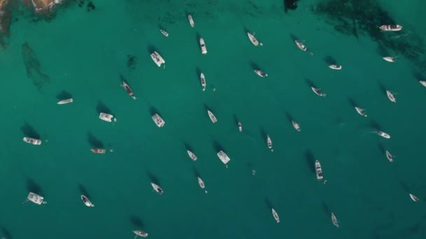 Letecký pohled na mnoho jachet v zátoce na Forentera ostrov Cala Saona Bay — Stock video