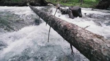 Dağ nehri ağır çekim dolomitleri Güney Tyrol İtalya