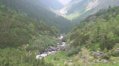 Romanya 'daki transfagarasan Karpatlar' daki dağ nehirleri ve şelaleler