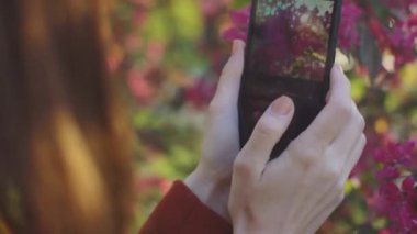 Kızıl saçlı kadın bahar çiçeklerinin fotoğraflarını çekiyor. Sakura çiçeklerinin.