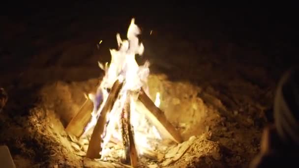 Palić ogień z drewna na plaży obozu — Wideo stockowe