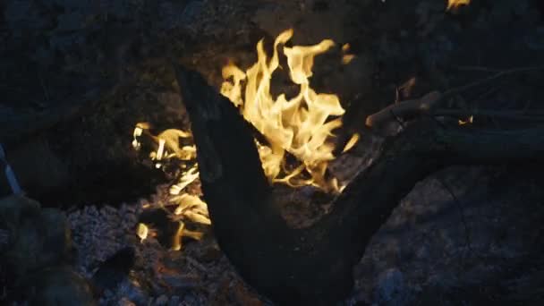 Brûler le feu avec du bois sur la plage camp — Video