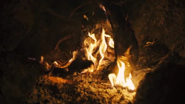 Спалити вогонь з дерева на пляжному таборі — стокове відео