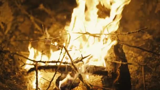Quemar fuego con leña en el campamento de playa — Vídeos de Stock
