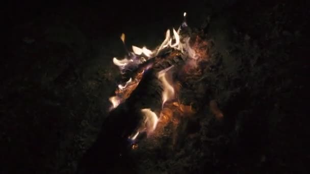 Feuer mit Holz auf Strandcamp verbrennen — Stockvideo