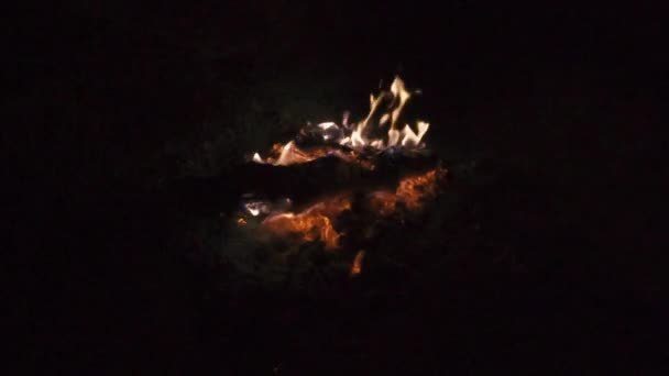 Quemar fuego con leña en el campamento de playa — Vídeo de stock
