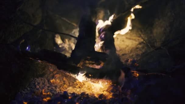 Brûler le feu avec du bois sur la plage camp — Video