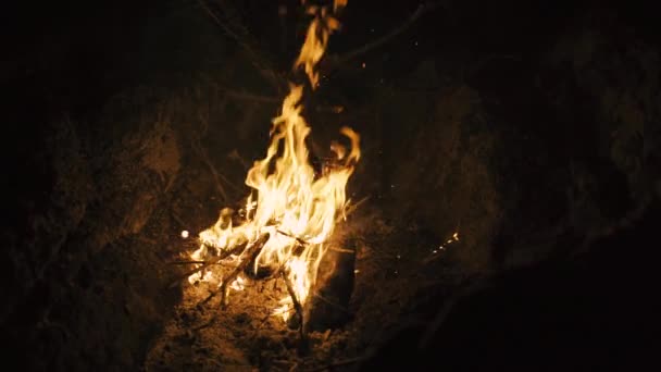 ビーチ キャンプの木で火を燃やす — ストック動画