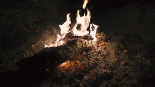 Queimar fogo com madeira no acampamento de praia — Vídeo de Stock