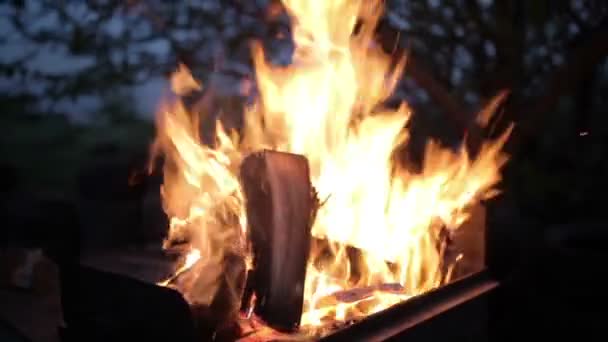 Quemar fuego con leña en el campamento de playa — Vídeo de stock