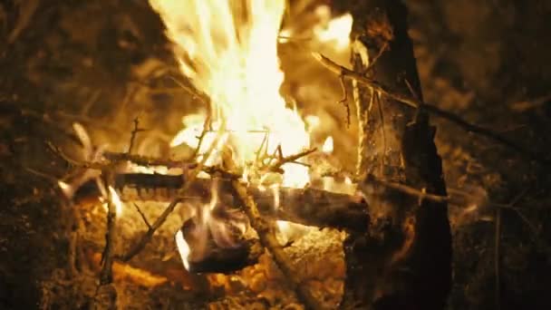 Bränna eld med trä på beach camp — Stockvideo