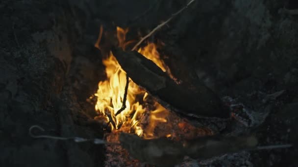 Brûler le feu avec du bois sur la plage camp — Video