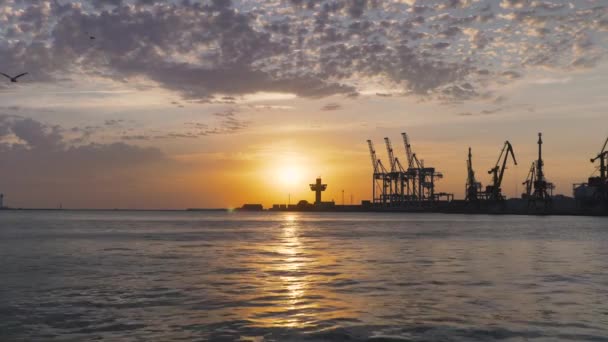 Cargo ship port at sunrise — Stock Video