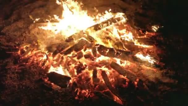 Quemar fuego con leña en el campamento de playa — Vídeos de Stock