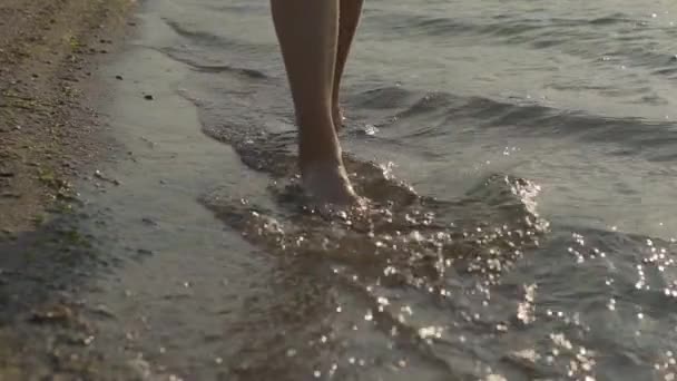 Pernas femininas no mar mulher andar na água — Vídeo de Stock