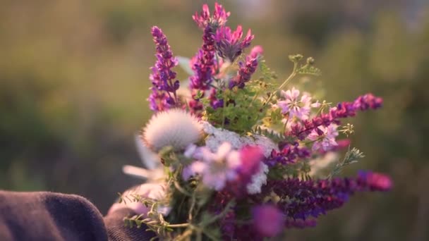 Flores de campo en la mano mujer — Vídeo de stock