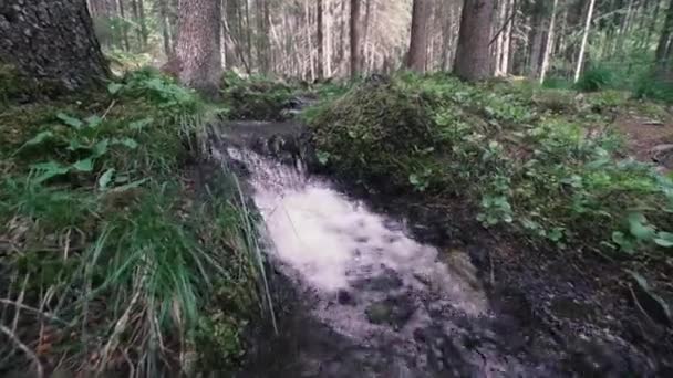 Horská řeka zpomalení dolomity jižní Tyrolsko — Stock video