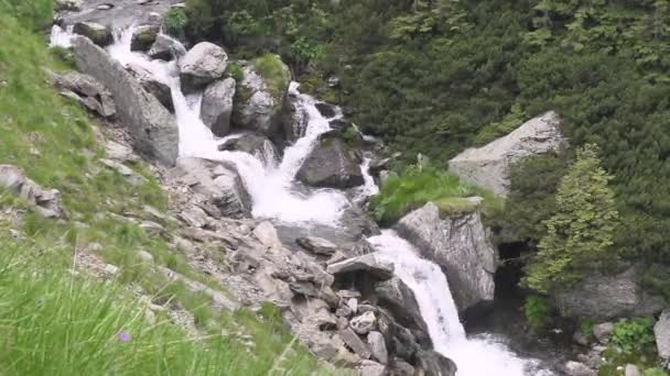 Rivières de montagne et cascades dans les montagnes carpates transfagarasan en Roumanie — Video