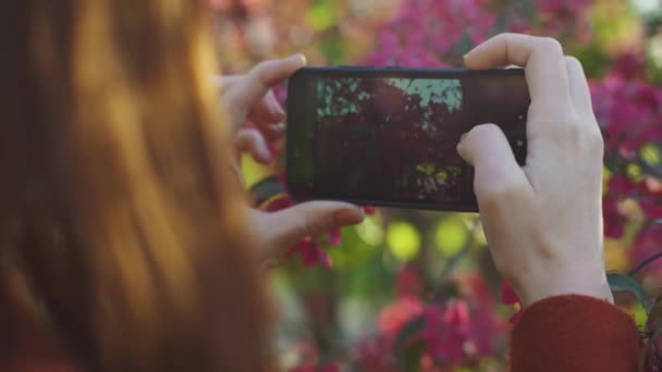 Femme aux cheveux roux prenant des photos de fleurs printanières de fleurs de sakura — Video