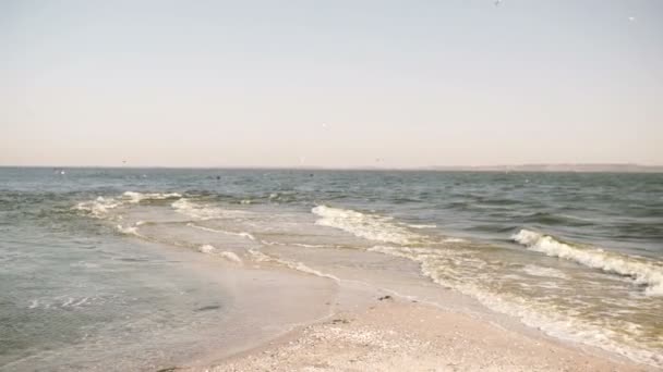 Soft wave of the sea on the sandy beach — Stock Video