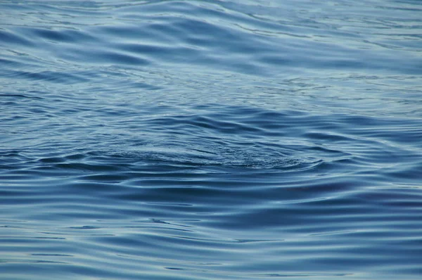 Nur der blaue Ozean mit kleinen Wellen — Stockfoto