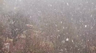 Kışın kar fırtınası.